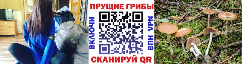 Псилоцибиновые грибы Magic Shrooms  Раменское 